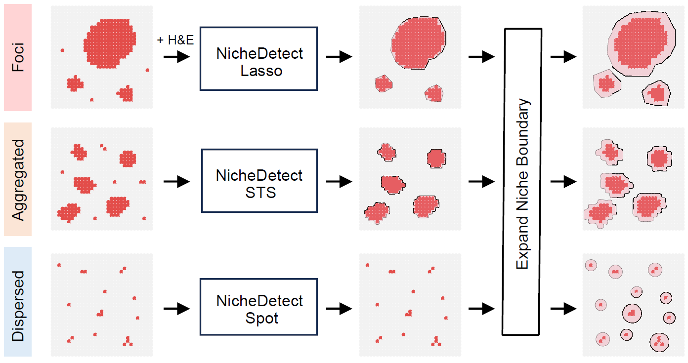 Strategies for identifying infection-associated niches with different spatial patterns.