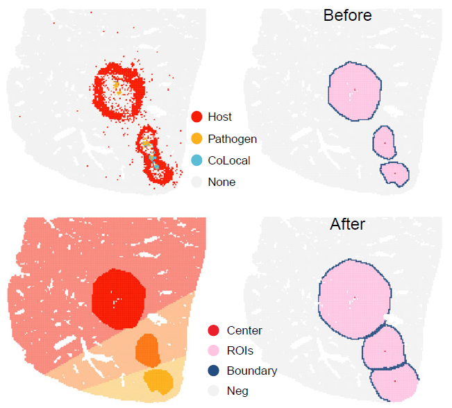 Expanded foci-type niche regions.