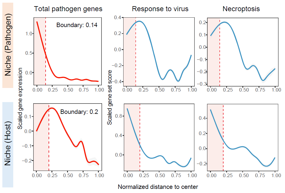 Distance-dependent feature profiles for aggregated niches.