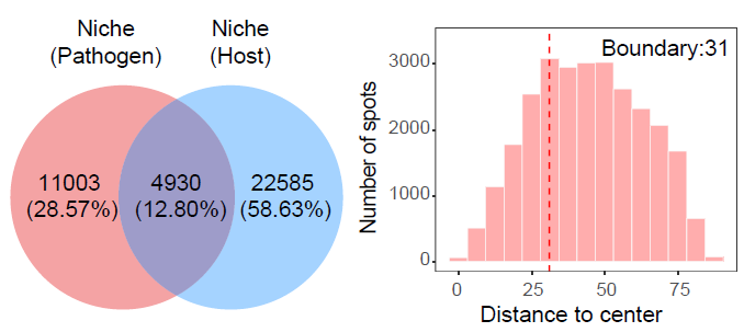 Spatial comparison between pathogen-infected and host-responsive aggregated niches.