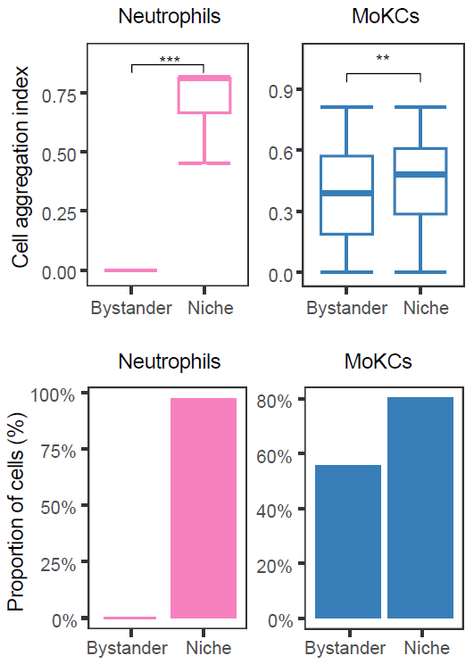 Cell aggregation within single-sample niches.