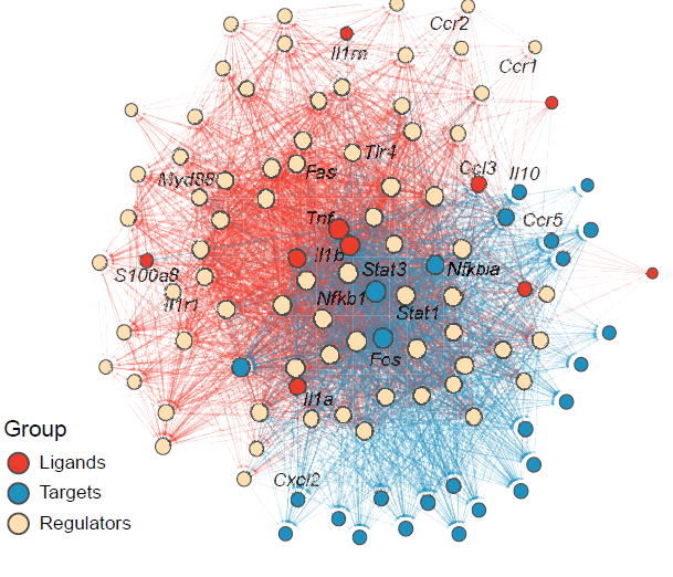Ligand-driven regulatory networks within single-sample niches.