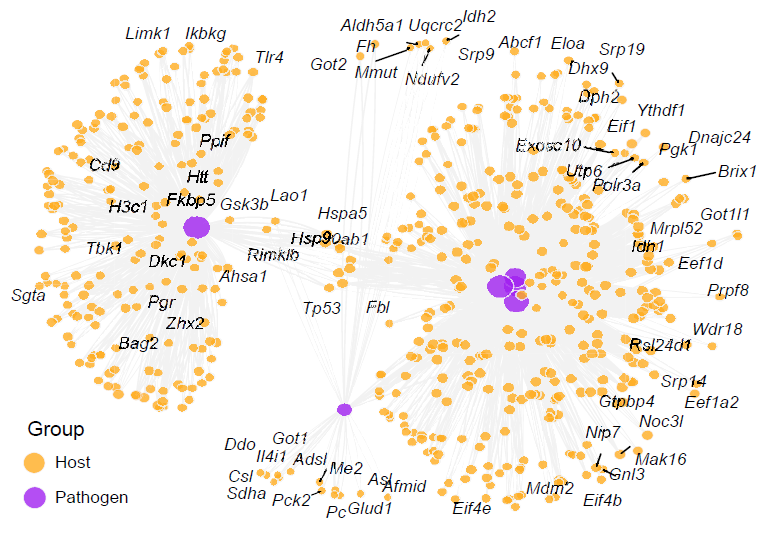Host-pathogen protein association network inferred from sequence similarity and STRING interactions.