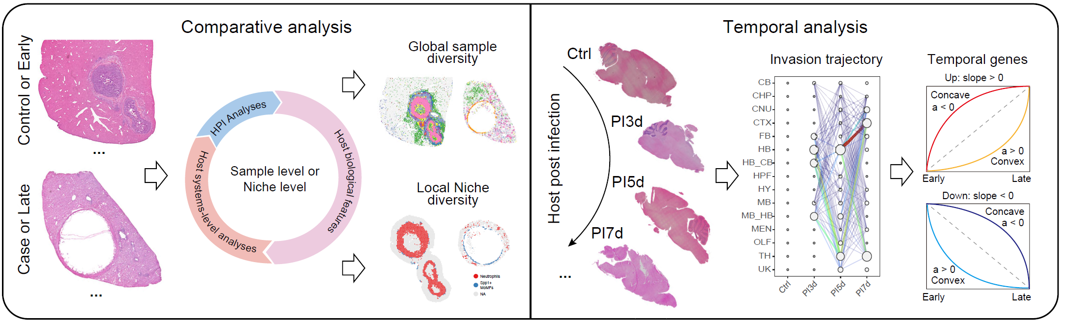 Multi-sample analysis modules for comparative and temporal niche analysis.