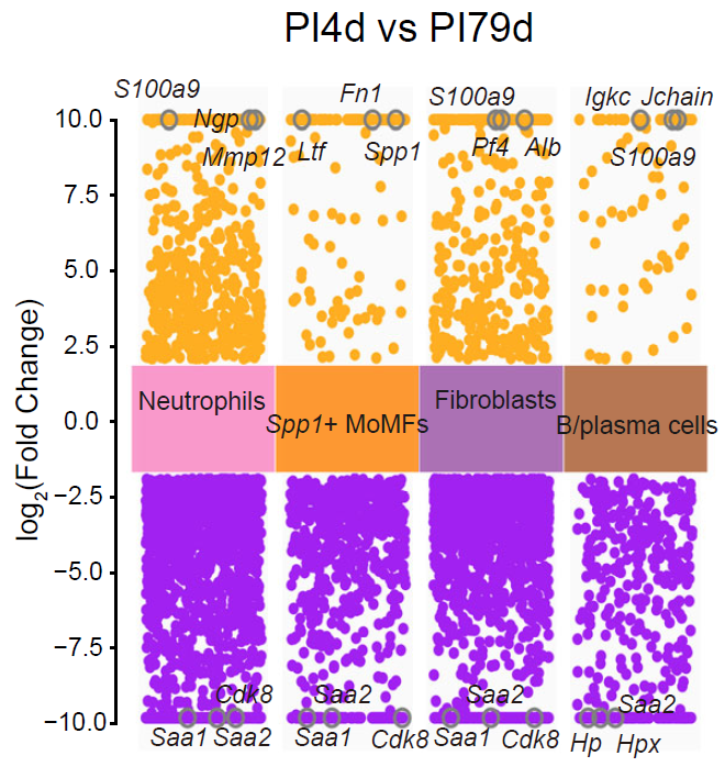 Differential expression analysis across comparative multi-sample niches.
