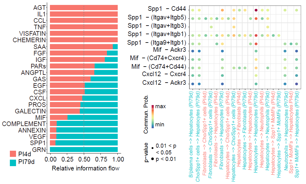 Cell–cell communication patterns across comparative multi-sample niches.