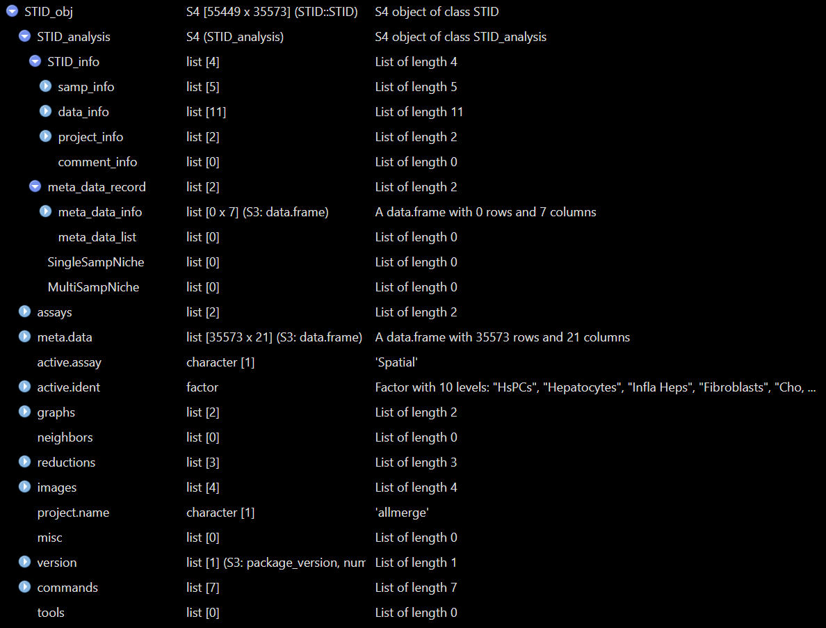 Example view of the raw STID object.
