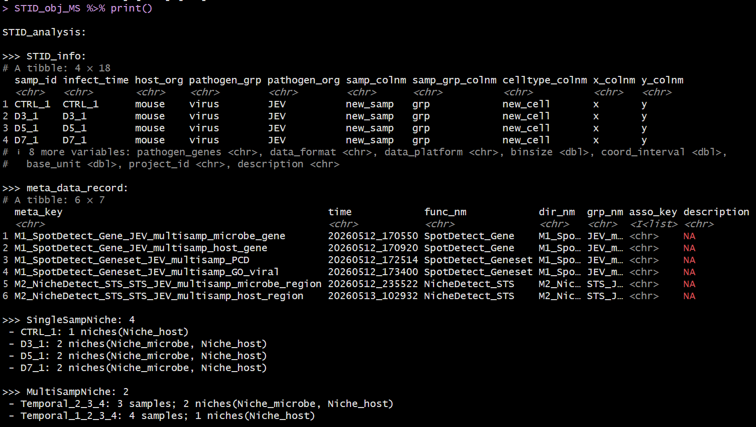 Example output of print(STID object) - Temporal