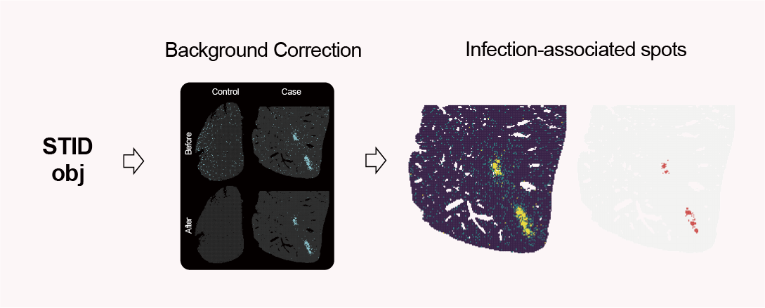 Infection-associated spot detection workflow.
