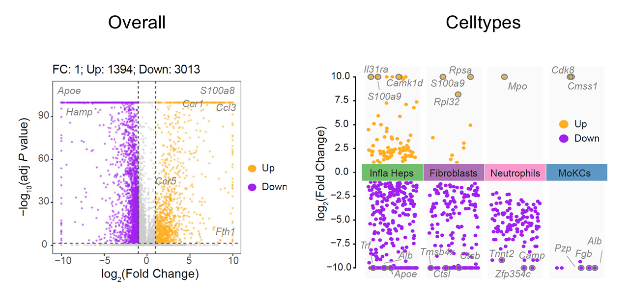 Differentially expressed genes associated with single-sample niches.