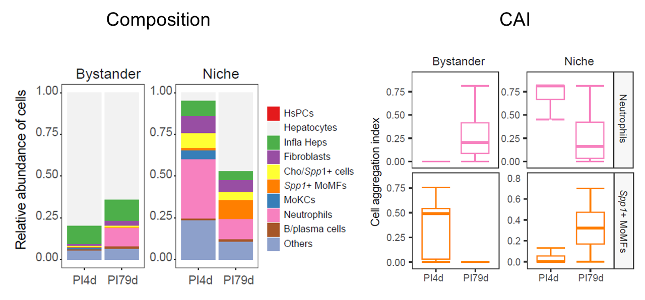 Pathogen-positive proportions, annotation composition, and aggregation across multi-sample niches.