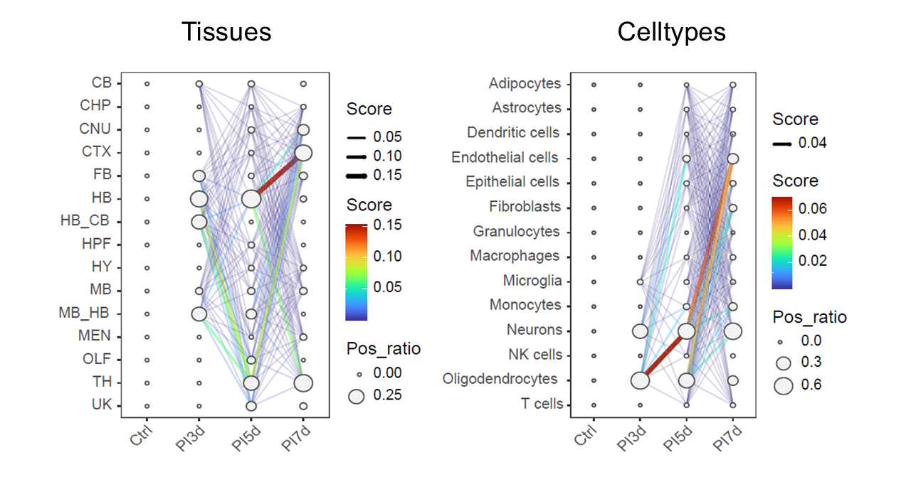 Inferred pathogen invasion trajectories across temporal multi-sample niches.